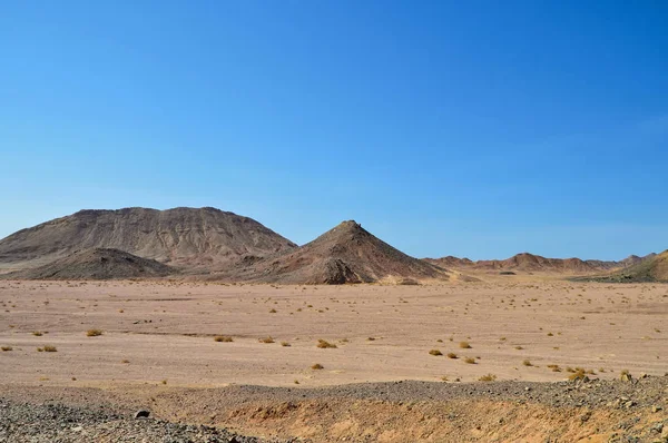 mountain desert landscape, sandstone mountains, plain covered with rare desert vegetation, against a cloudless blue sky