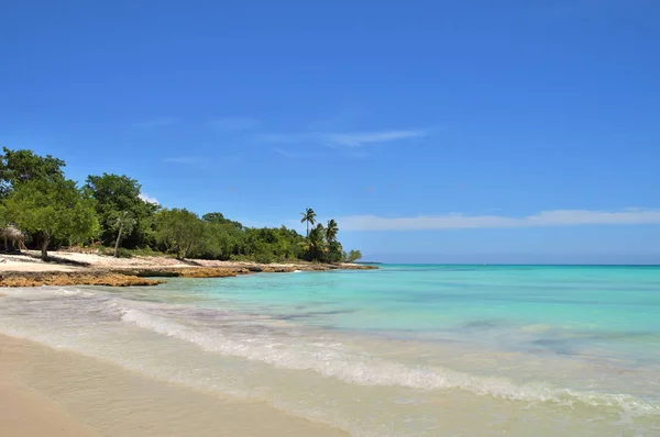 plot of the beach, coastline of the Caribbean Sea, beautiful azure sea, green tropical vegetation, against the blue sky, Dominican Republic.