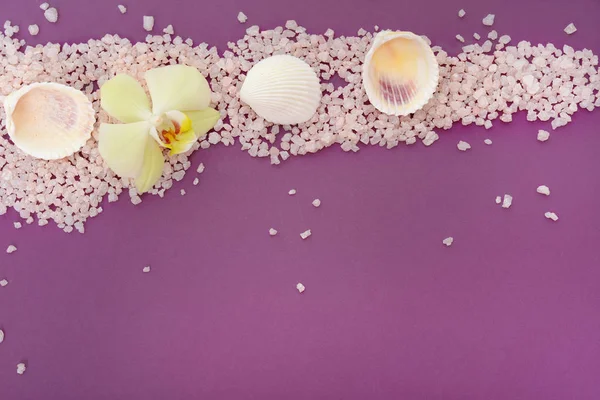 貝殻や紫色の背景上海塩の蘭の花 — ストック写真
