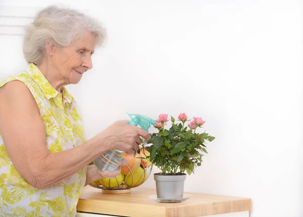 Mature attractive woman watering flowers at home — Stock Photo, Image