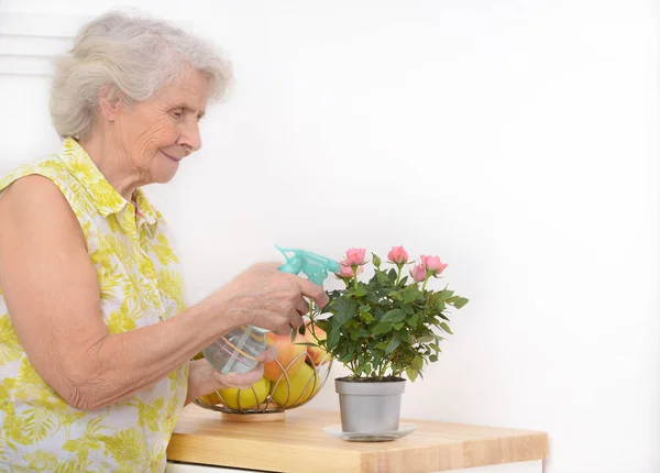 Maturo donna attraente irrigazione fiori a casa — Foto Stock