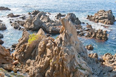 Kayaların üzerinde sahil Lloret de Mar