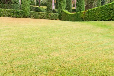 Güzel manzara tam olarak kesilmiş çimen ve dekoratif çalılar ile. Costa Brava, İspanya.