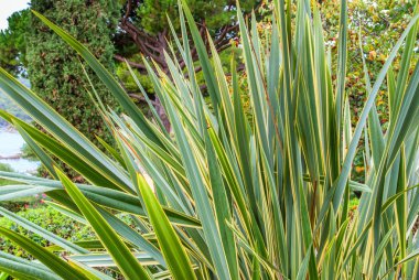 Saint Clotilde bahçeleri Lloret de Mar, Costa Brava