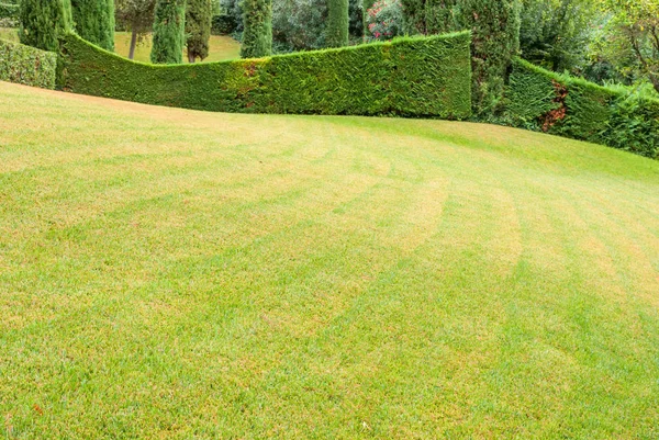 Wunderschöne Landschaft mit exakt geschnittenem Gras und dekorativen Büschen. costa brava, spanien. — Stockfoto