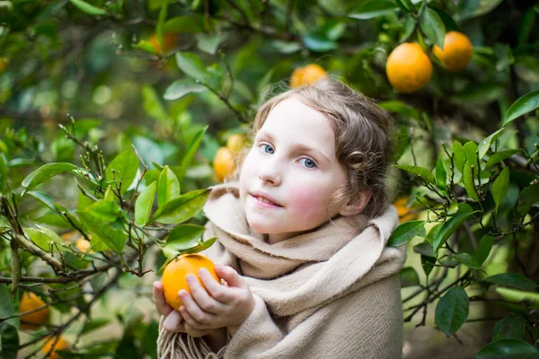 ベージュのショールで美しい少女がみかんを保持します — ストック写真