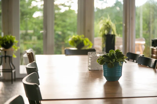 Long Dining Table Appliances — Stock Photo, Image