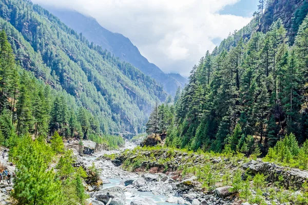 Yeşil dağların sırasında herhangi bir zamanda Saha Kampı rotasında Nepal'de trekking