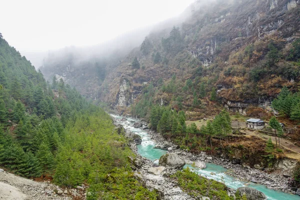 Yeşil dağların sırasında herhangi bir zamanda Saha Kampı rotasında Nepal'de trekking
