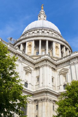 Ağaçlar arasında St Paul Katedrali Güney cephe görünümü.