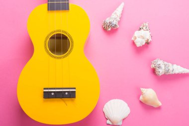 Parlak sarı ukulele gitar ve deniz kabukları