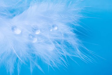 Tüylü bir su damlası