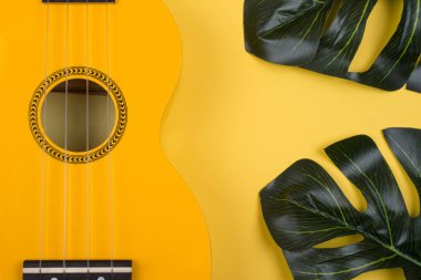 Ukulele gitar ve monstera yaprakları