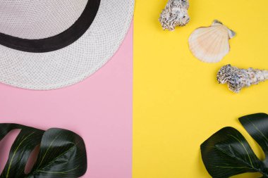 Beyaz şapka, monstera yaprakları ve deniz kabukları