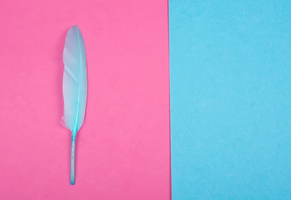 Blue feather as a quill pen — Stock Photo, Image