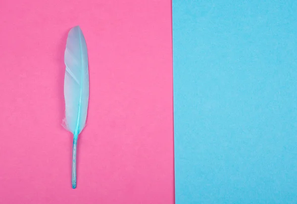 Pluma azul como pluma de pluma — Foto de Stock