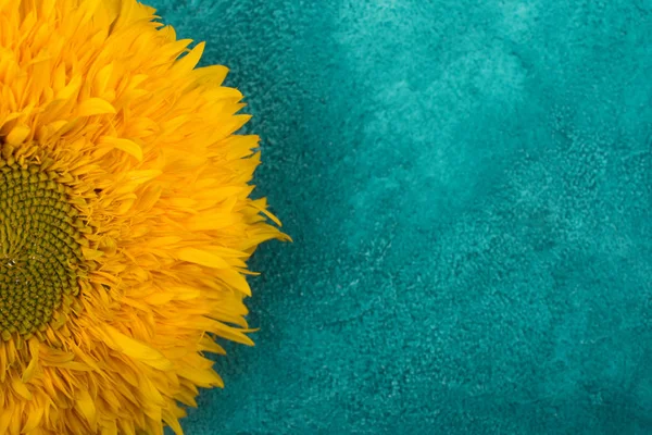 Mermer arka plan üzerinde parlak sarı ayçiçeği