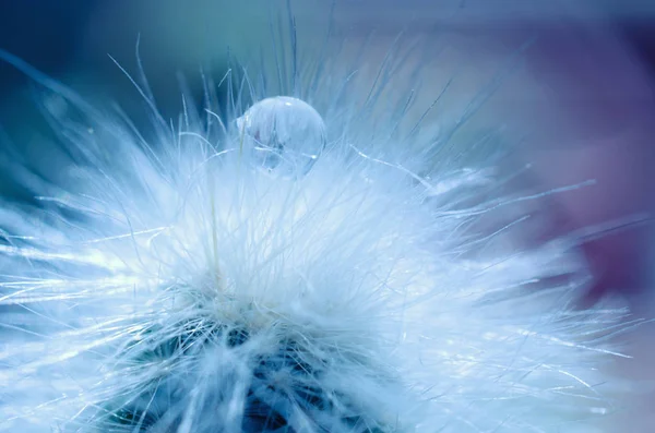 Drop of water