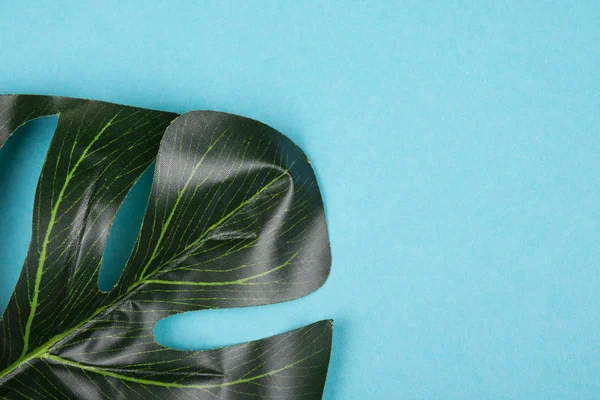 Monstera leaf on a pastel blue background — Stock Photo, Image