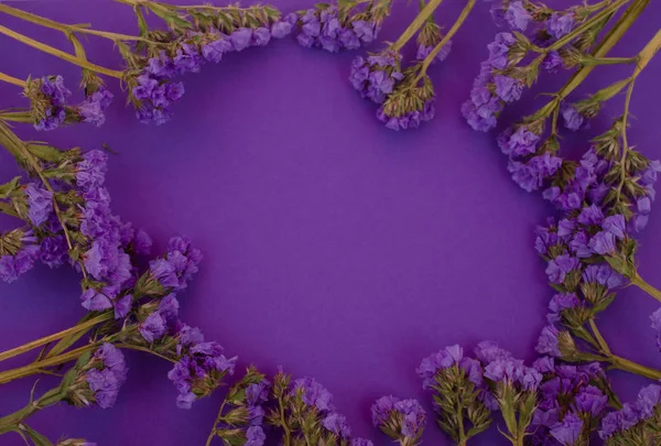 Ultra violet flowers