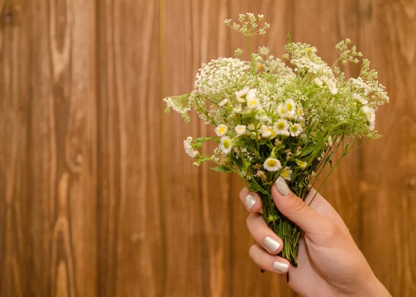 Flores — Foto de Stock