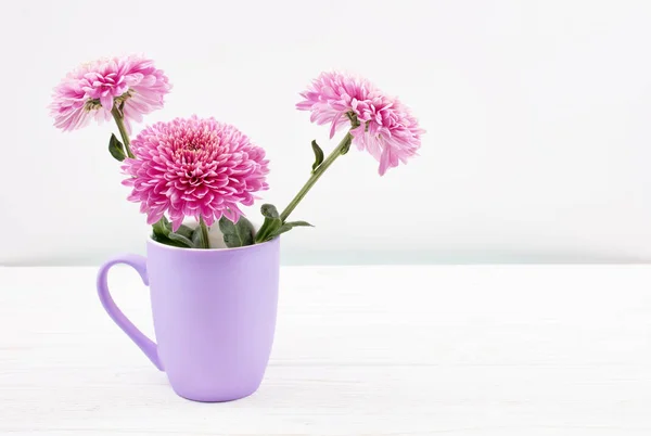 Hermosas flores de crisantemo rosa en una taza púrpura — Foto de Stock