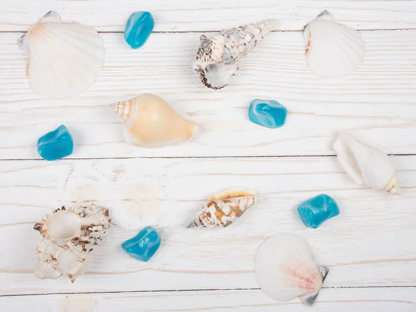 貝殻と石のコレクション — ストック写真