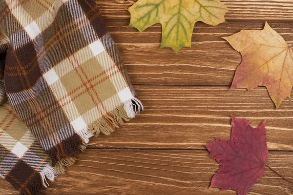 Cozy checkered scarf and autumn maple leaves — Stock Photo, Image