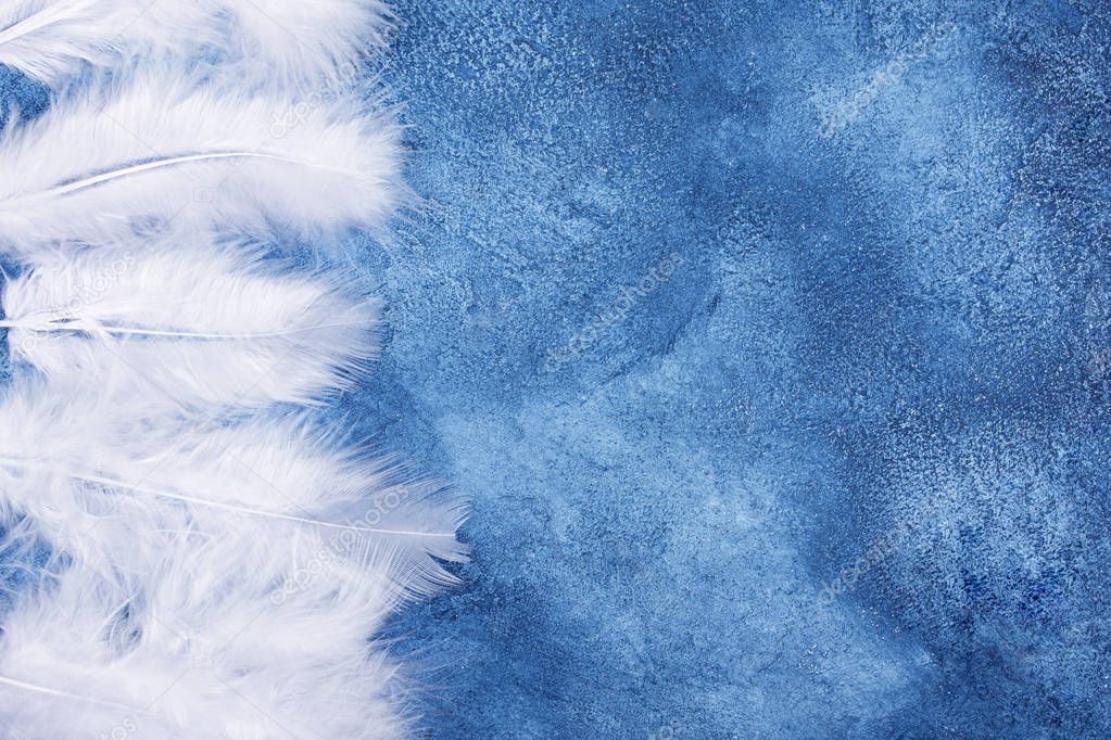 White feathers on a blue marble background