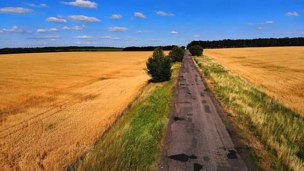 Aéreo Estrada Velha Livre Atrás Campo Trigo Conceito Caminho — Fotografia de Stock