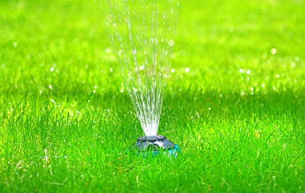 Drip irrigation system in a garden lawn