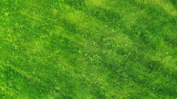 Aérea Verde Hierba Césped Fondo Textura — Foto de Stock