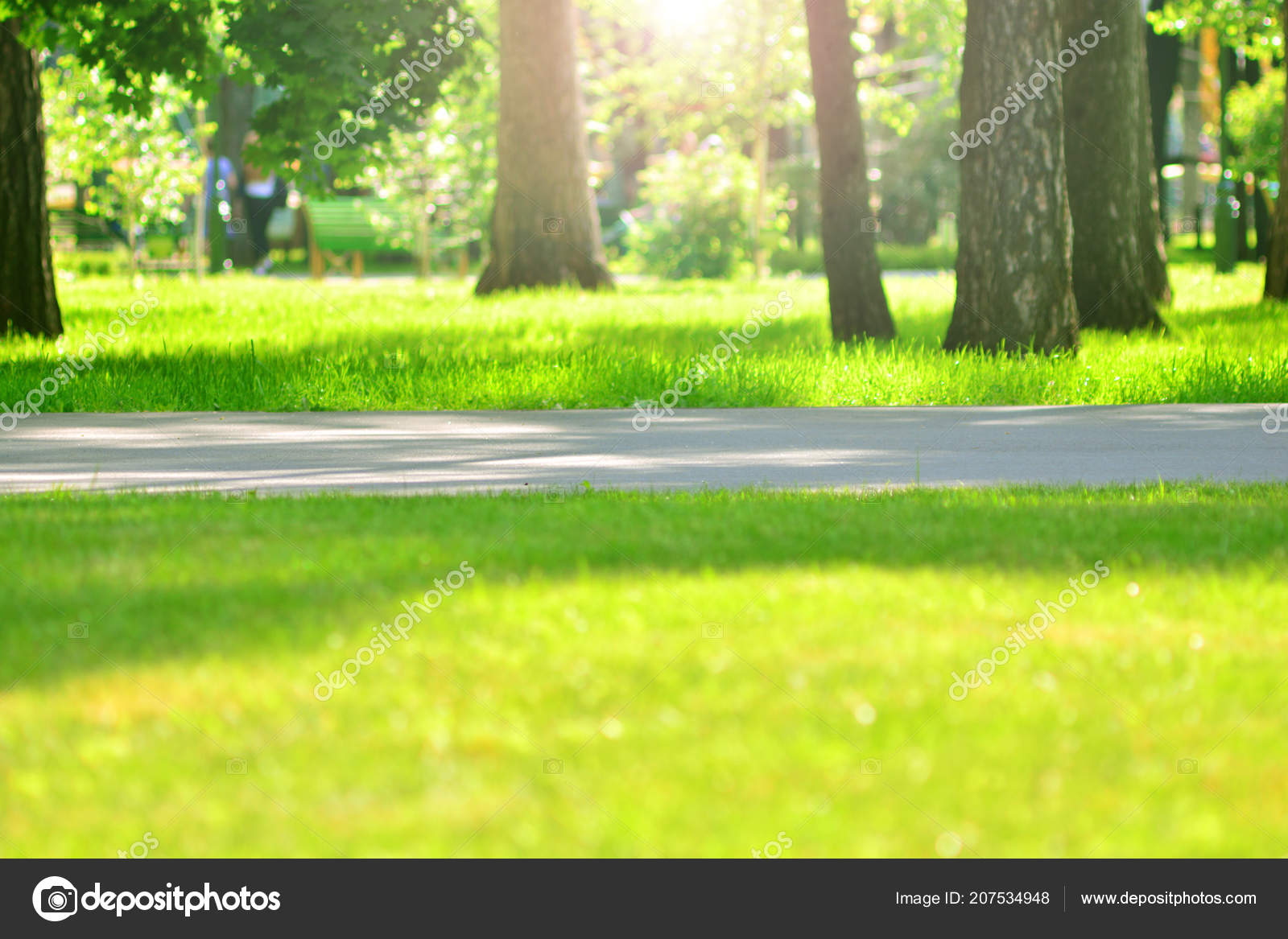 Background green park Background Beautiful Green Park — Stock Photo