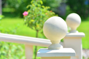 Bahçe ve peyzaj arka plan