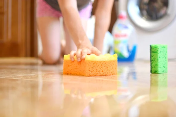 Cleaning service background. Housewife with a sponge in her hands.