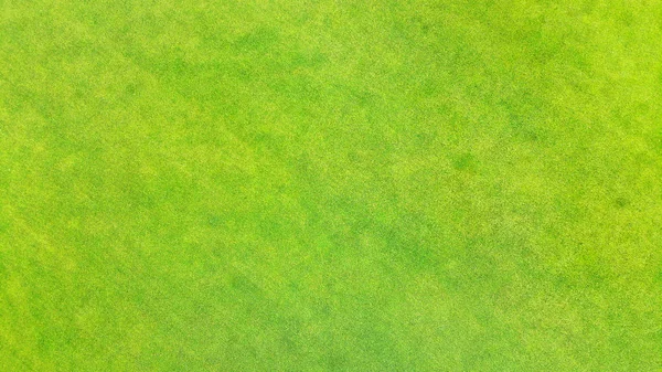 Aerial Green Grass Texture Background View — Stock Photo, Image