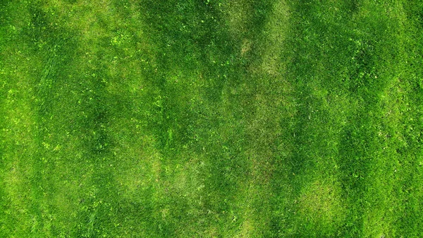 Antény Zelená Tráva Textura — Stock fotografie