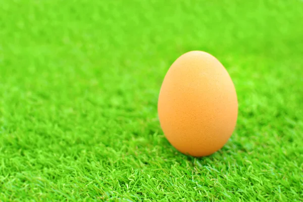 Beautiful Hen Egg Green Grass Close Copy Space Egg Symbol — Stock Photo, Image