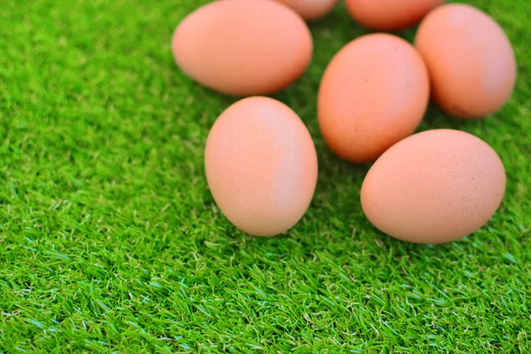 緑の芝生の上の卵のグループ — ストック写真