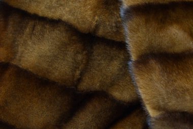 Vizon kürk ceket arka plan