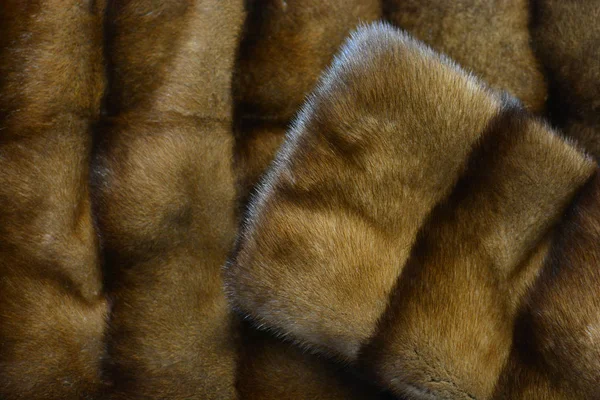 Mink Fur Background Texture Your Design — Stock Photo, Image