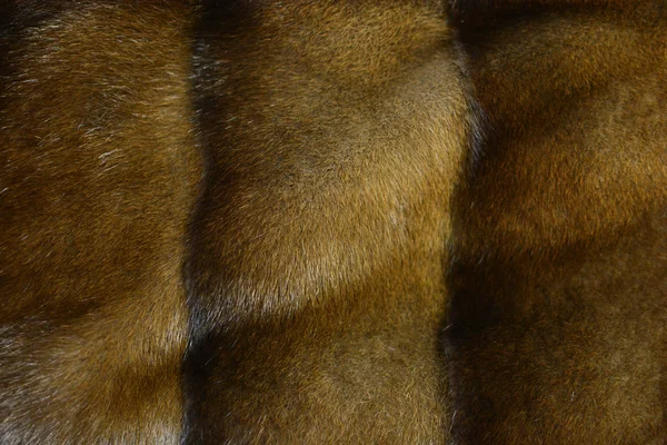Mink Fur Coat Close — Stock Photo, Image