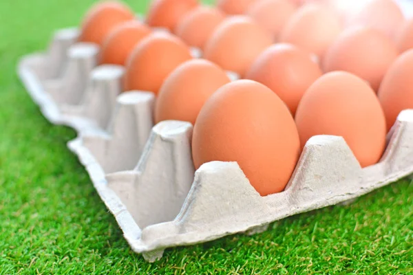 Eggs Close Big Brown Chicken Eggs Eggs Box Tray Green — Stock Photo, Image