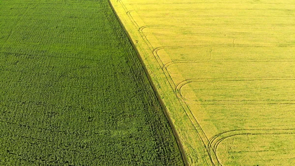 Luchtfoto Landbouw Velden Met Biologische Teelt — Stockfoto