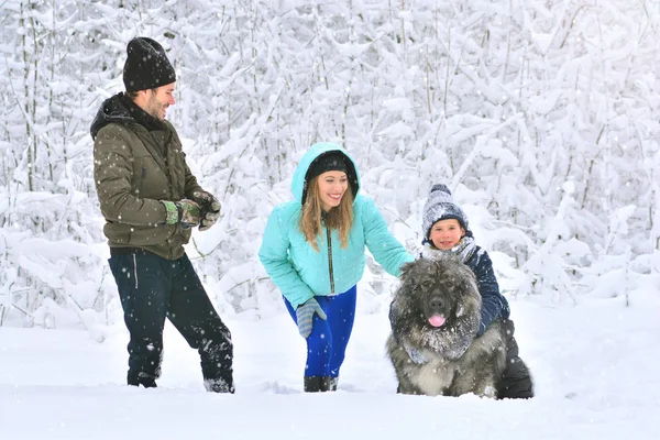 Gelukkige Familie Moeder Vader Zoon Hun Grote Hond Een Besneeuwde — Stockfoto