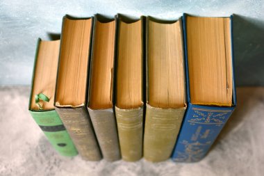 Kitap yakın çekim. Calssicc edebiyat, bilgi. 
