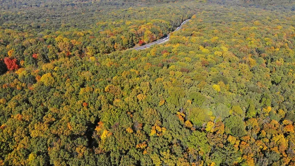 Floresta Outono Com Paisagem Aérea Rodoviária — Fotografia de Stock