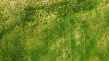 Hava. Yeşil çim doku arka plan.