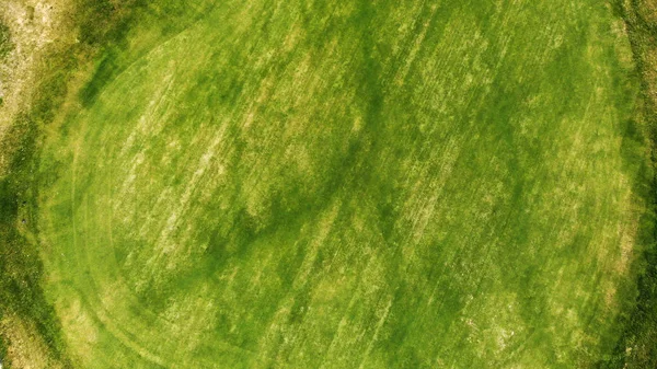 Antenne Grüne Gras Textur Hintergrund — Stockfoto