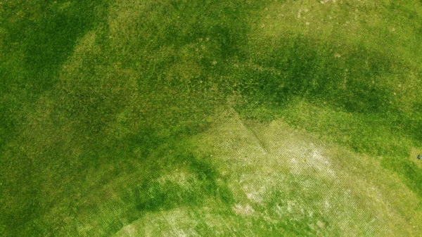 Aéreo Grama Verde Textura Fundo — Fotografia de Stock